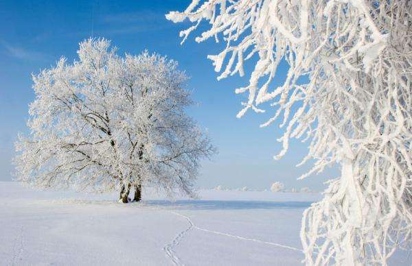 武汉美博会之武汉雪景